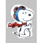 Ballon Snoopy Avec des Lunettes d'avion, Décorations ballons pour anniversaire.