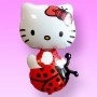 Ballon Hello Kitty Coccinelle