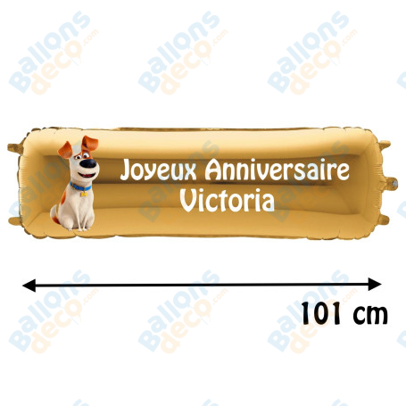 Ballon Comme des Bêtes Banderole Joyeux Anniversaire avec Prénom, Décorations ballons pour anniversaire.