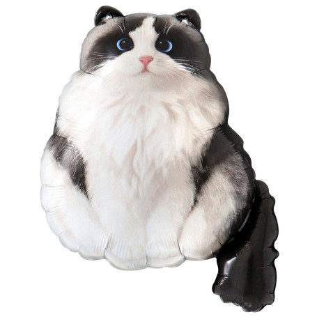 Ballon Chat Blanc et Noir Réaliste aux Yeux Bleus, décoration ballon animaux, SPA, refuge chats.