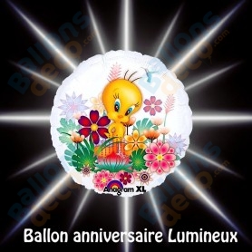 Ballon lumineux avec guirlande LED 1 tige + 2 ballons