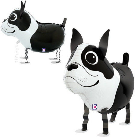 Ballon Chien Noir et Blanc Marcheur, décoration ballon Anniversaire, Animaux Canins.