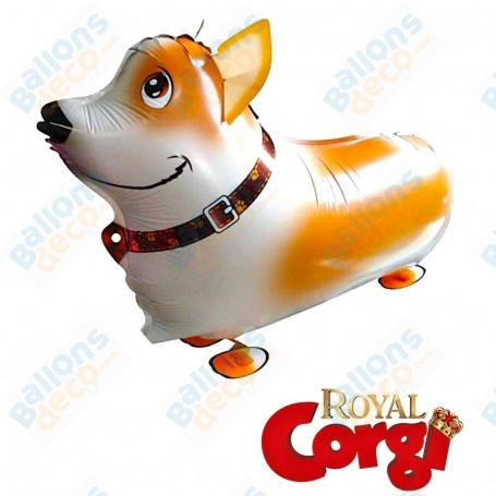 Ballon Royal Corgi Chien Marcheur