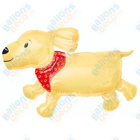 Ballon Chien Beige Collier Foulard Rouge, décoration ballon anniversaire, Salon Canins.