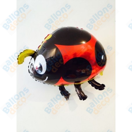 Ballon Coccinelle Antoine, décoration ballon insectes et décoration anniversaire sur le thème des Champs.