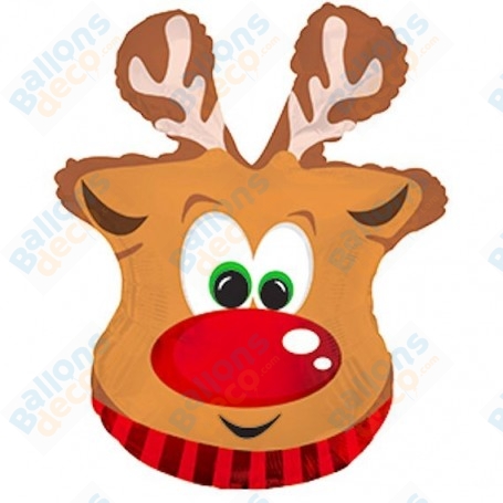 Ballon Rennes Rodolphe Tête