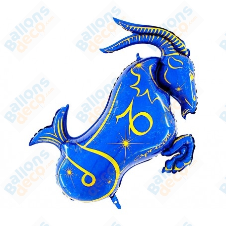 Ballon Capricorne Signe Astrologique Zodiaque Bleu