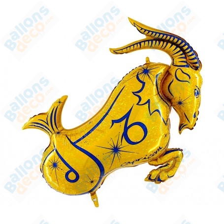Ballon Capricorne Signe Astrologique Zodiaque Or