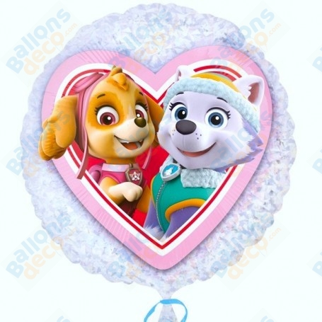 Ballon Pat Patrouille Stella et Everest Disney, décoration ballon anniversaire.