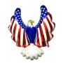 Ballon Aigle USA