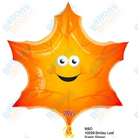 Ballon Feuille Happy
