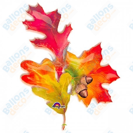 Ballon Feuilles D'Automne Avec Glands