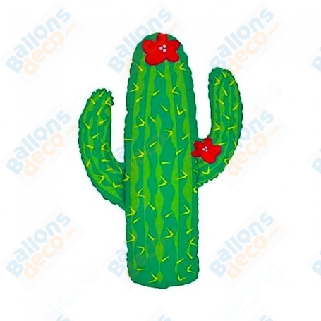 Ballon Cactus