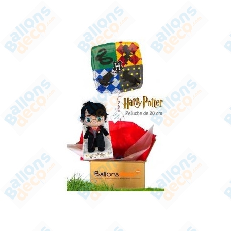 Ballon Cadeau Surprise Gonflé Harry Potter