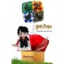 Ballon Cadeau Surprise Gonflé Harry Potter