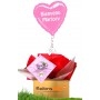 Ballon Cadeau Peluche Bisounours avec Gonflage Hélium Rose