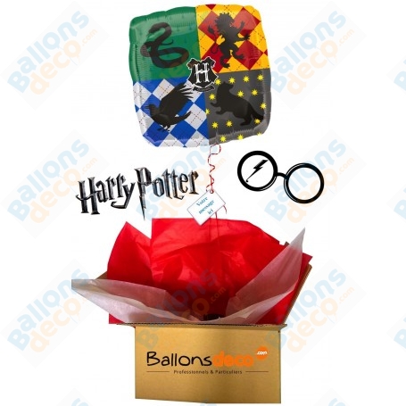 Ballon Cadeau Surprise Harry Potter Avec Hélium et Message Maisons