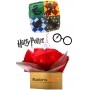 Ballon Cadeau Surprise Harry Potter Avec Hélium et Message Maisons