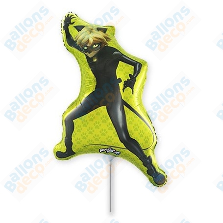 Ballon Miraculous Chat Noir Adrien Sur Tige