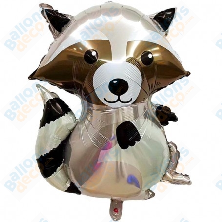 Ballon Raton Laveur Brillant