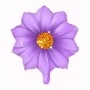 Ballon Fleur Violette de Couleurs Centre Or