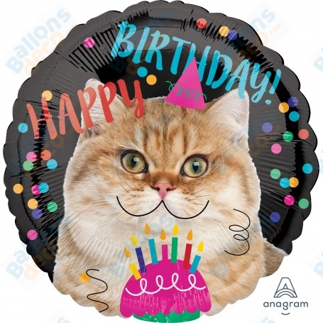 Ballon Chat Happy Birthday Fun, décoration ballon d'anniversaire, Animaux