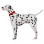 Ballon Chien Dalmatien