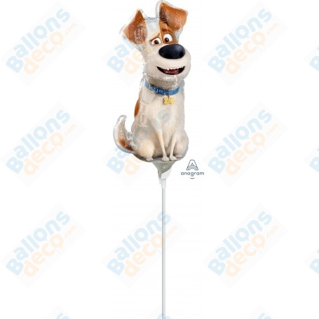 Ballon Max Comme des Bêtes Air Anniversaire