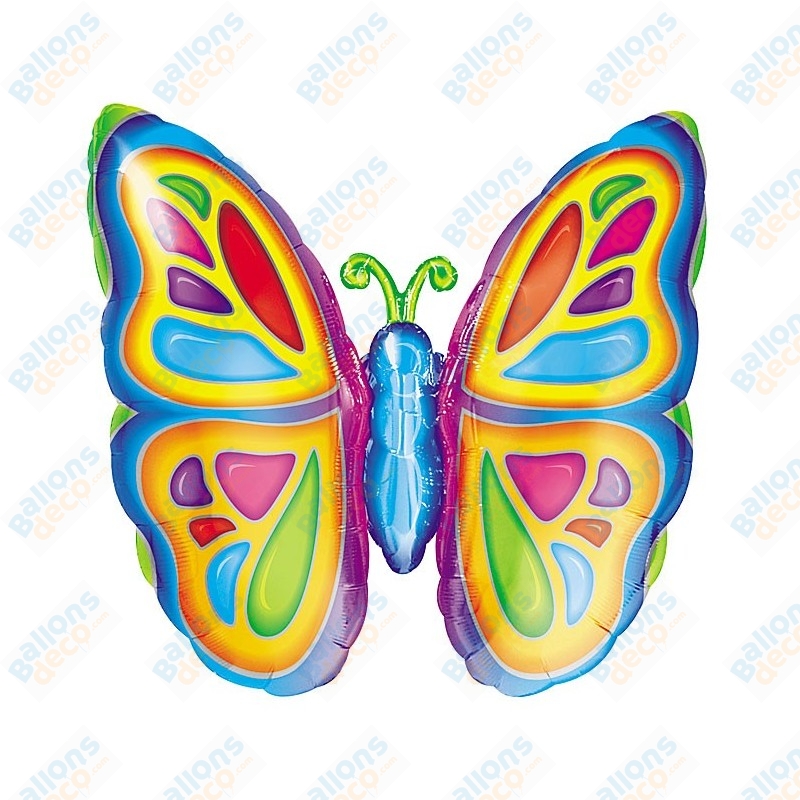 Papillon Aux Couleurs De L'arc-en-ciel Avec Arcs-en-ciel Et étoiles