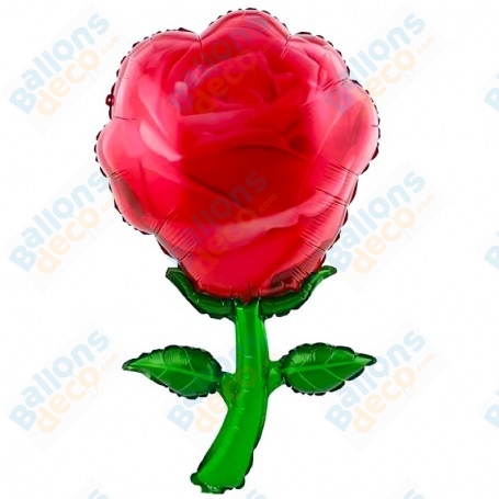 Ballon Rose Rouge Tige Verte Fleur