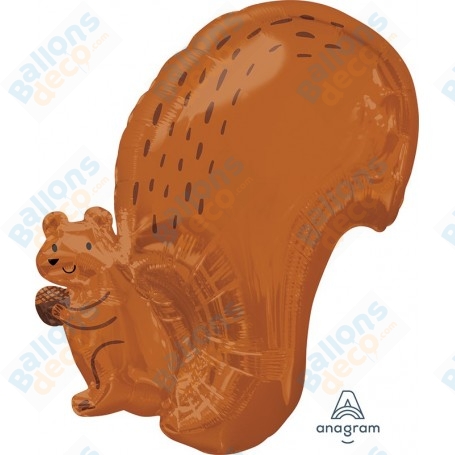 Ballon Écureuil Roux, décoration ballon animaux de la forêt.