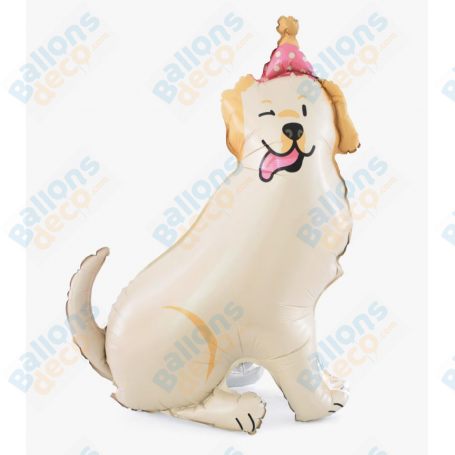 Ballon Chien Beige 3D avec un Chapeau d'anniversaire, Décorations ballons pour anniversaire.