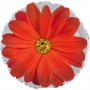 Ballon Fleur Rouge de 45 cm.