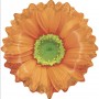 Ballon Marguerite Orange et Or Grabo, Décorations ballons pour anniversaire, fleuriste.