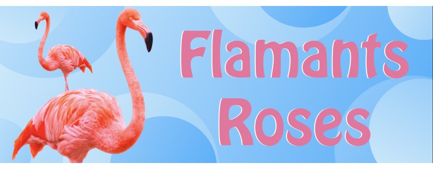 Ballons Flamants Rose - Flamingo - Mer - Tropical - Ballonsdeco.com