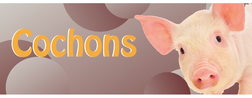 Ballons Cochons - Pig - Animaux - Ferme - Décoration - Ballonsdeco.com