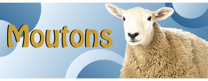 Ballons Moutons - Sheep - Ferme - Anniversaire - Ballonsdeco.com