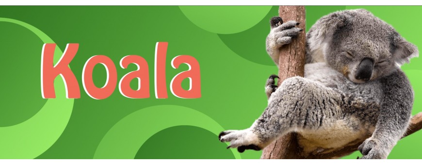Ballons Koalas - Animaux - Australie - Eucalyptus - Ballonsdeco.com