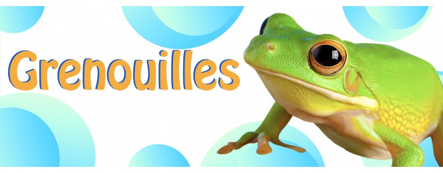 Ballons Grenouilles - Frog - Animaux Aquatiques - Ballonsdeco.com