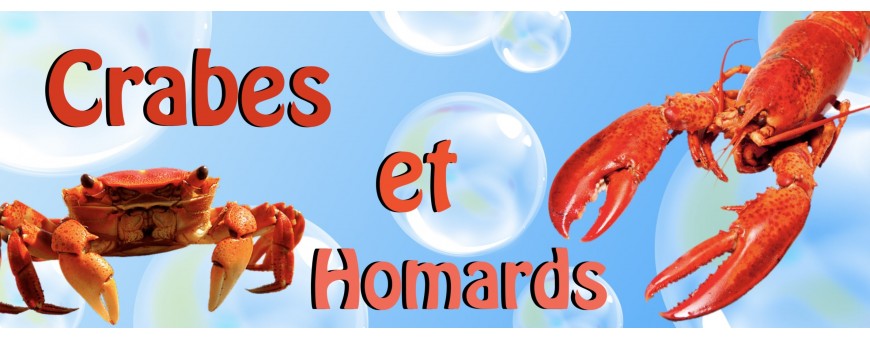 Ballon Crabe et Homard - Décoration Aquatique - Mer - Ballonsdeco.com