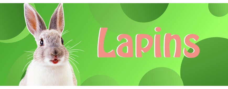 Ballons Lapins - Bunny - Décorations Pâques - Party - Ballonsdeco.com