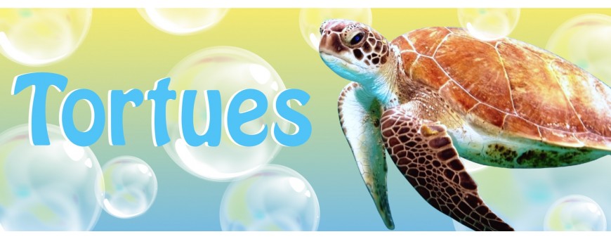 Ballons Tortues - Animaux - Animaux Mer Et Terre - Ballonsdeco.com